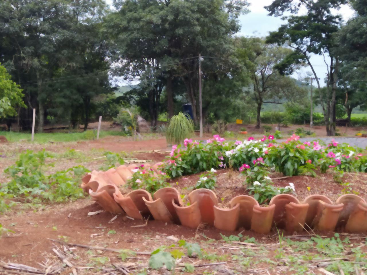 Serginho e Chinho Serviços de Prestação de Jardinagem em Geral